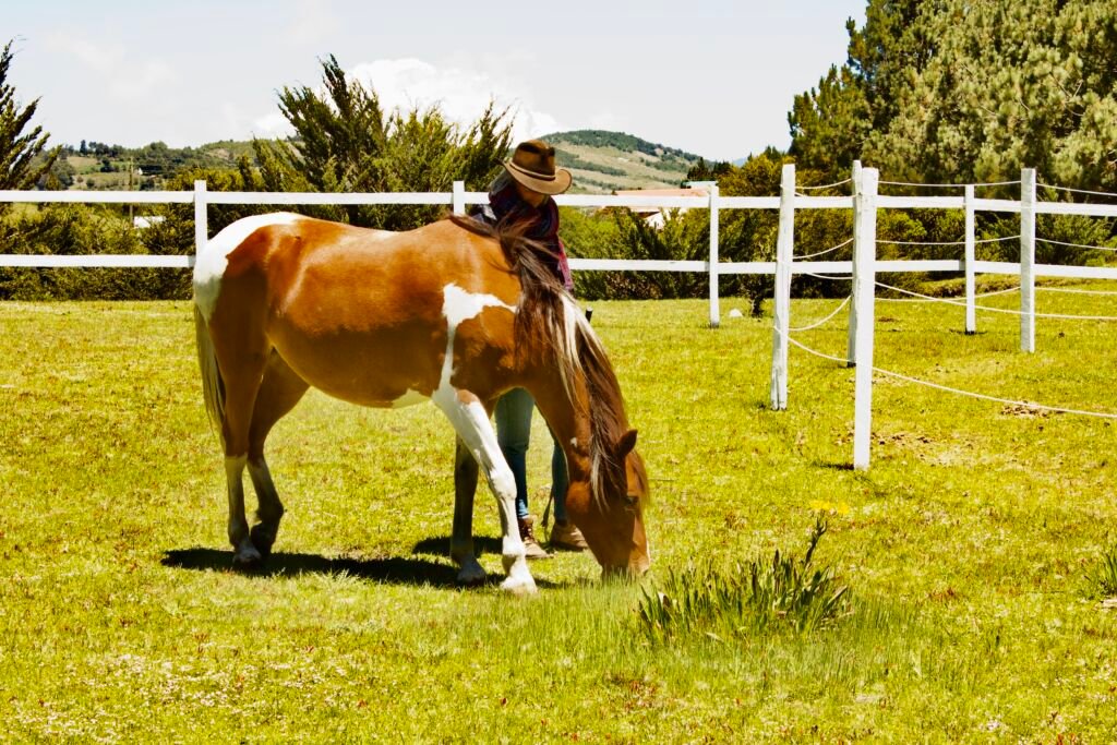 Unicornio Azul - Photo 2